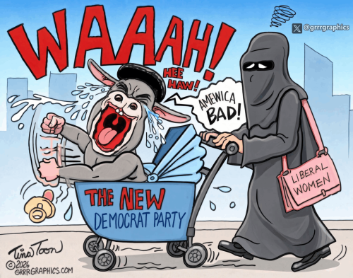 new-dem0crat-party-donkey-baby-Tina-Toon-1536x1210