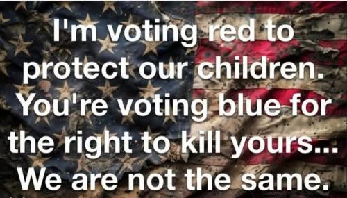 voting-red-voting-blue