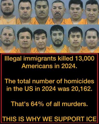 illegal immigration545