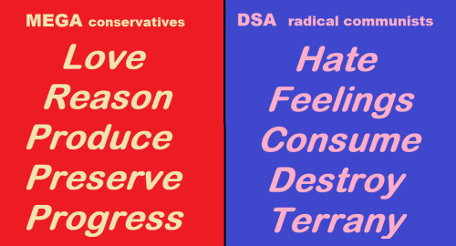 mega-dsa
