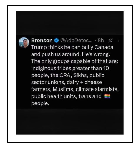 bully canada