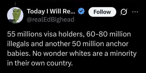 why-whites-are-minority-in-own-countries