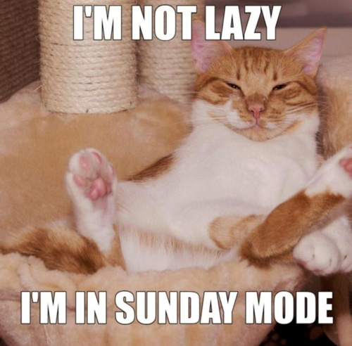 not-lazy-sunday-mode