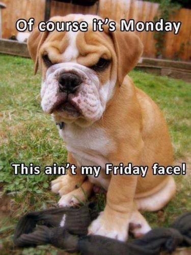 658acaebfb7c4b575cda3c3175ea1e13