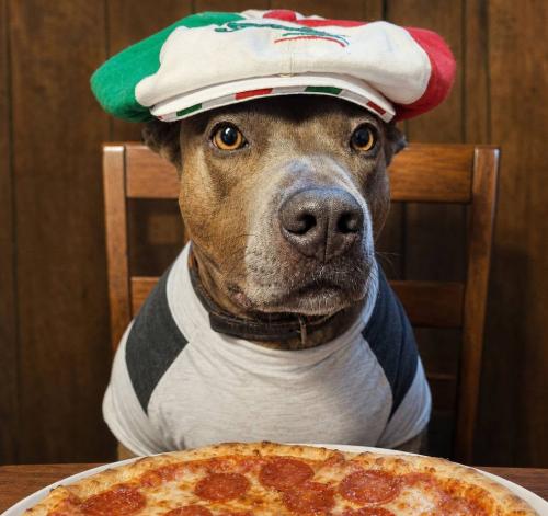 pepperoni pizza day dubs at table