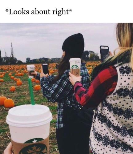 pumpkin-spice-memes-38