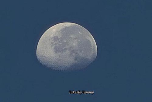 Moon shot