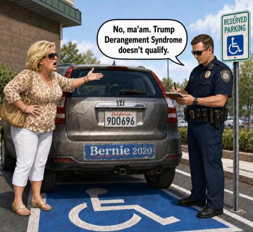 meme-tds-handicapped-space