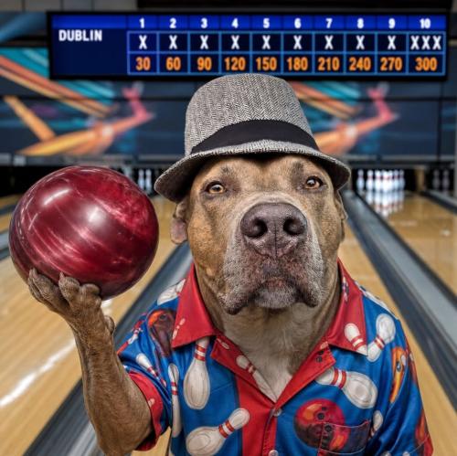 a bowling day