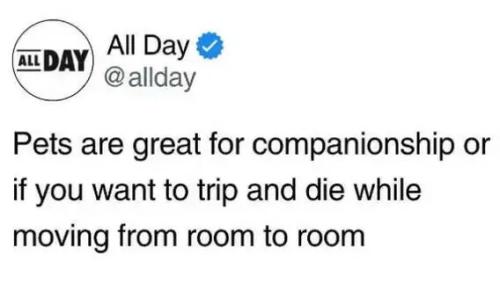 6229