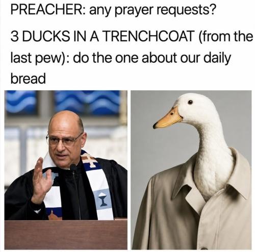!!!!! duck in church