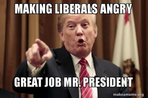 making-liberals-angry