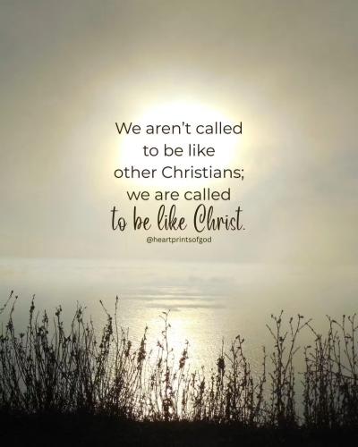 IMG_9138