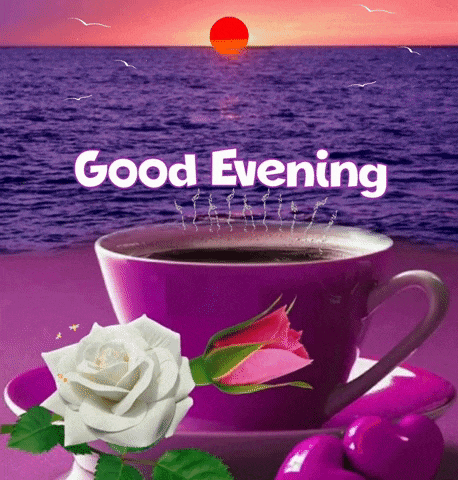 36944454-9f14-43b4-bd6c-08228b760bb2