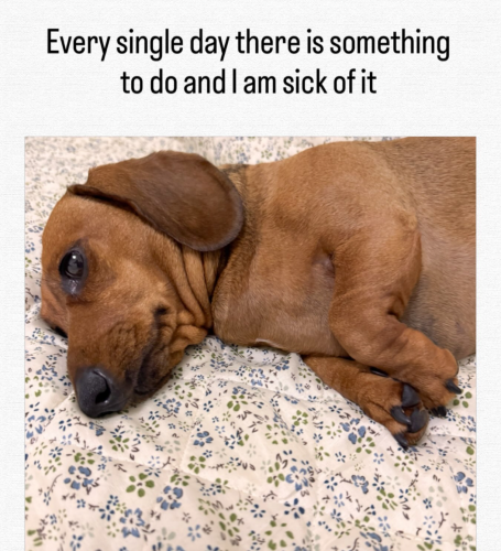 1000001449