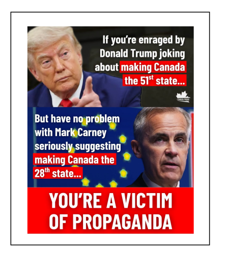 victim of propaganda