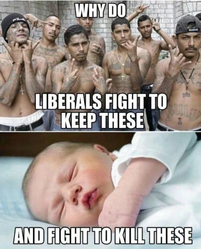 a lib fight f