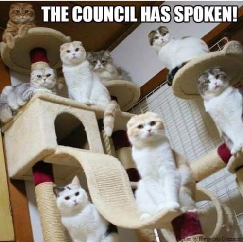 councilhasspoken