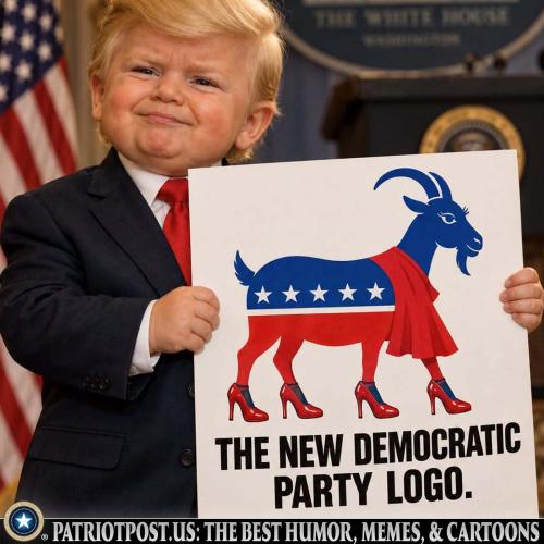 meme-new dem logo
