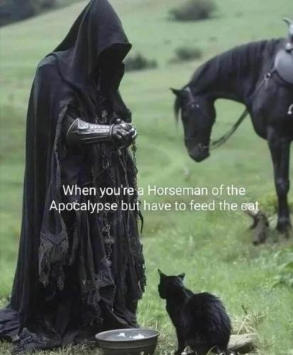 6098