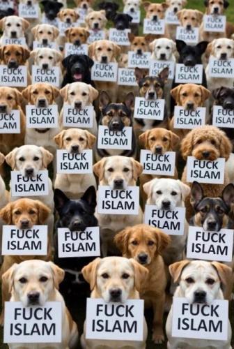 fuck-islam