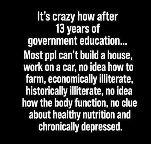 government-education