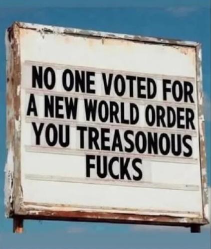 noone-voted-for-new-world-order