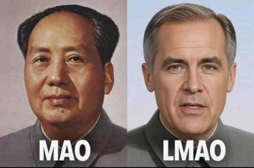 mao-lmao