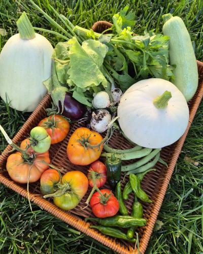 !!! veg