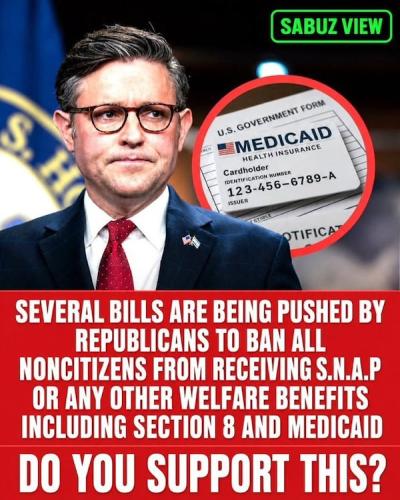 bills banning illegals from welfare
