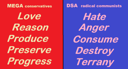 mega-dsa