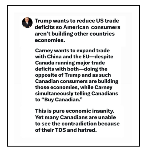 economic insanity