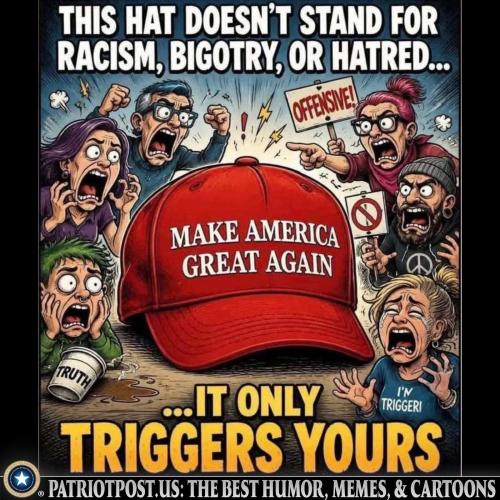 meme-maga-hat-triggers