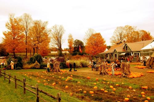 fall images 5