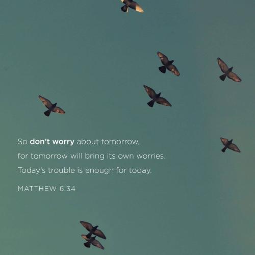06:06:31 GMT-0400