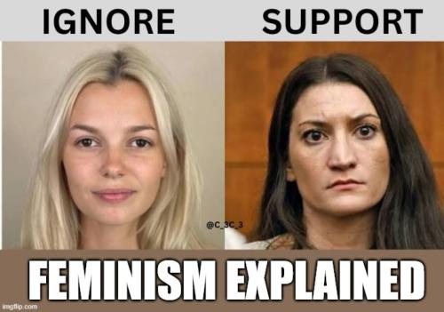 Feminism Explained 1
