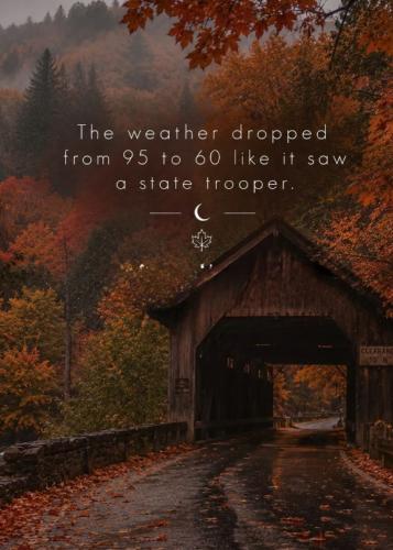 Screenshot_20260924_003527_Instagram