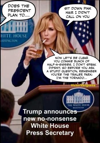 no-nonsense-press-secretary