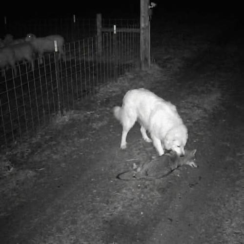 10:59:23 GMT-0500
