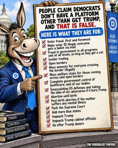 Democrat Platform 1