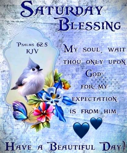 100326 - Sat Blessing, Blue bird