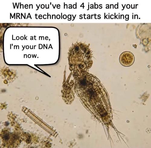 mrna-tech-kicks-in