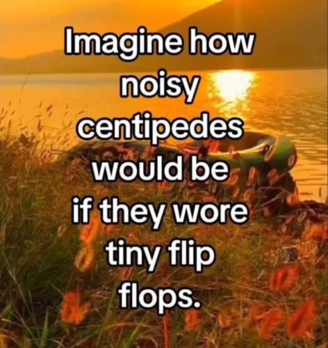 6558