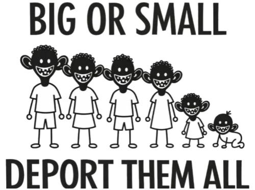 illegal immigration552