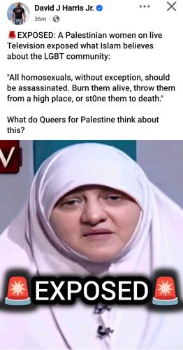 GAYS ISLAM DAVID HARRIS