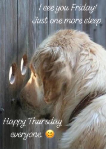  THURSDAY