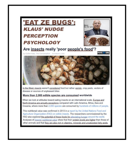 eat ze bugs