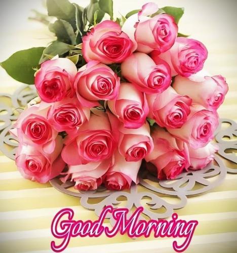 102126 - GM Fire roses