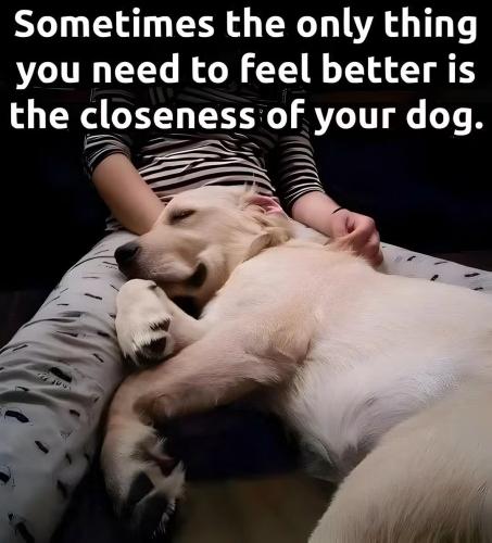FB_IMG_1789876603187