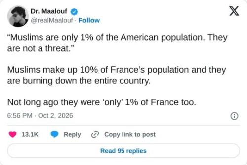 moslems-burning-down-france-10pct